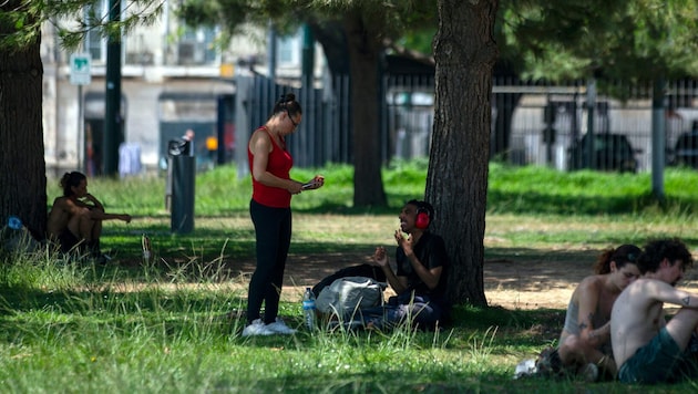 Menschen suchen in einem Park in Lissabon Zuflucht vor der Hitze.