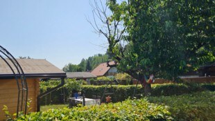 Der Schrebergarten in der Suppanstraße soll eigentlich ein Ort der Erholung sein. Viele neue ...