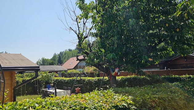 Der Schrebergarten in der Suppanstraße soll eigentlich ein Ort der Erholung sein. Viele neue ...