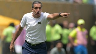 Renato Paiva ist nicht mehr Trainer von Botafogo.