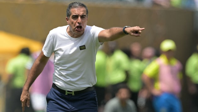 Renato Paiva ist nicht mehr Trainer von Botafogo.