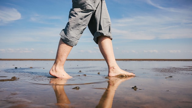 Nicht nur am Strand sind kurze Hosen wieder „erlaubt“.