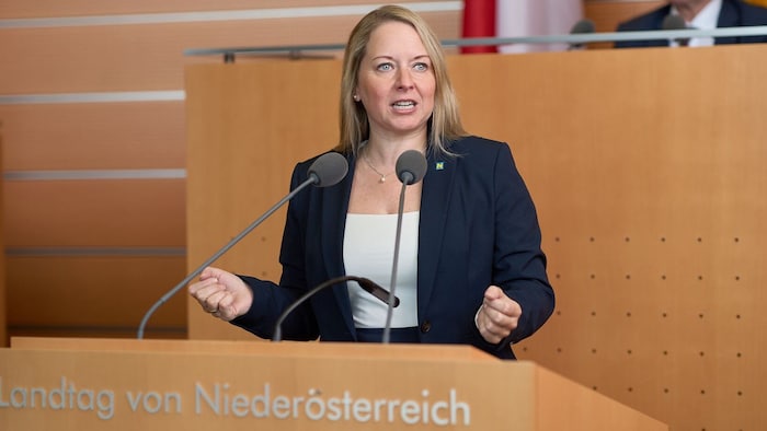 Silke Dammerer (ÖVP) will lieber Bestehendes stärken als eine eigene Gewaltambulanz wie die ...