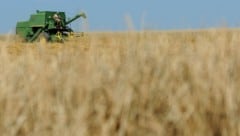 Die Europäische Union und die Ukraine haben sich auf ein Handelsabkommen für Agrarprodukte ...