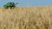 Die Europäische Union und die Ukraine haben sich auf ein Handelsabkommen für Agrarprodukte ...