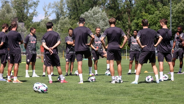 Die Trainingsgruppe von Trainer Daniel Beichler wird um zwei Neuzugänge erweitert.