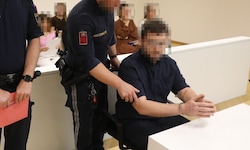Der Salzburger bei seinem Prozess in Wien.