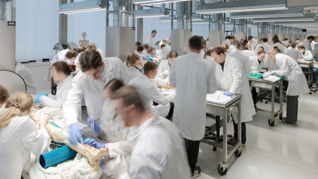 Körperspenden liefern einen wichtigen Beitrag zur Ausbildung angehender Mediziner sowie für ...