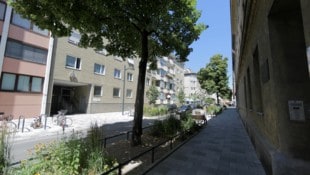 Die Schleifgasse ist ein klimafittes, aber fragiles Vorzeigeprojekt, denn sie hält den üblichen ...