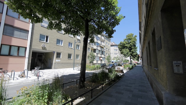 Die Schleifgasse ist ein klimafittes, aber fragiles Vorzeigeprojekt, denn sie hält den üblichen ...