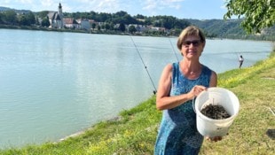 Heidi Schöppl fischte sieben Kilo Nägel bei der Stiege aus der Donau.