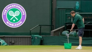 Die Rasenpflege nimmt in Wimbledon exzessive Ausmaße an.