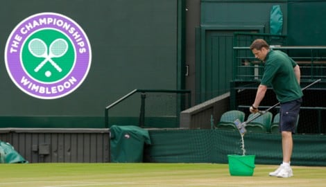 Die Rasenpflege nimmt in Wimbledon exzessive Ausmaße an.
