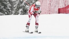 Tatjana Ehammer