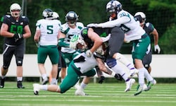Die Ducks (Honig, M.) erwägen einen Ausstieg aus Österreichs Liga.