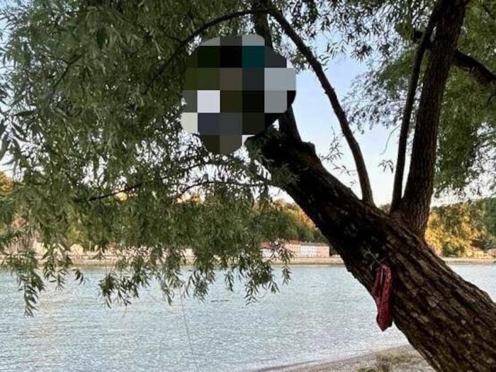 Die Berufsfeuerwehr Linz rettete einen Betrunkenen von einem Baum.