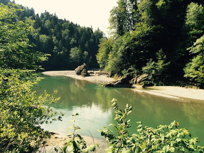 Die große Ausnahme: Die Bregenzerach führt sogar mehr Wasser als noch vor dem Jahr 2000.
