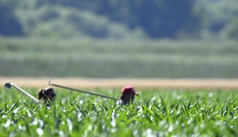 Die EU-Kommission will zunehmend auf einen internationalen Zertifikatehandel setzen, um ...