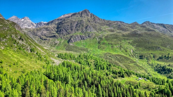 Die mächtige Peziner Spitze (2550 Meter) wacht über gut erhaltene, aber aufgelassene Almen.