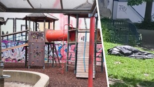 Die Parks und Spielplätze werden zu Schlafstätten. Obdachlose machen sich breit, Kinder trauen ...