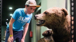 Im Linzer Schlossmuseum taucht man in die Vielfalt unserer Natur ein.