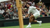 Novak Djokovic liebt das Spiel auf Rasen.