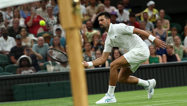 Novak Djokovic liebt das Spiel auf Rasen.