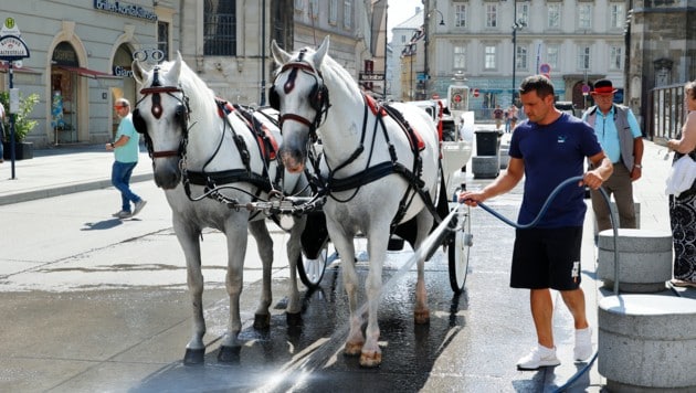 Die Temperaturen steigen in Österreich weiter an: In der Wiener Innenstadt wurde die ...