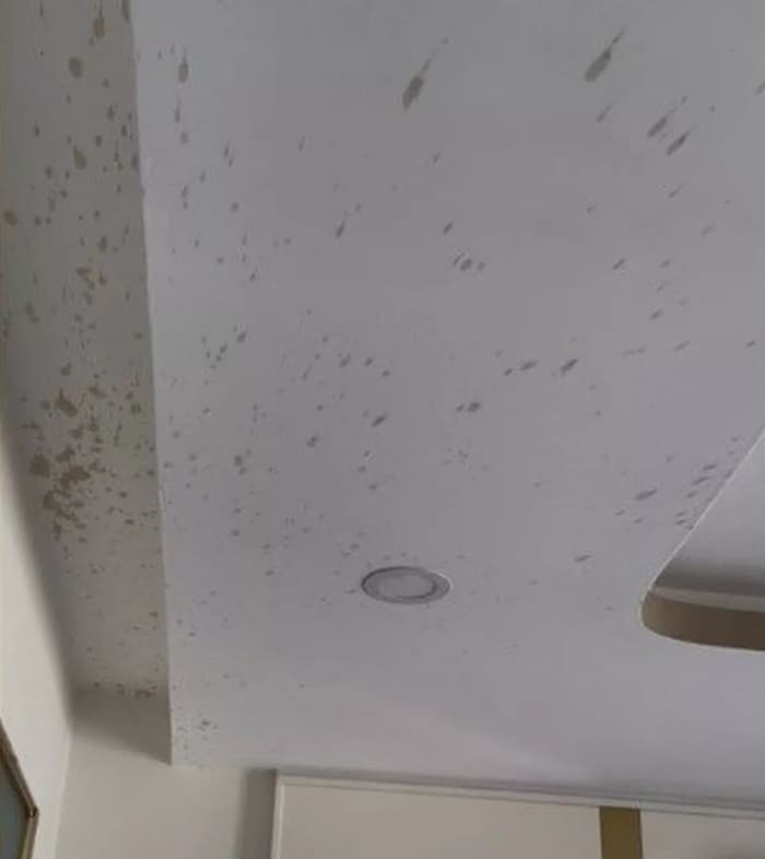 Das Hotelzimmer musste komplett neu gestrichen werden.
