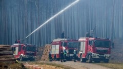 Die Feuerwehren in Deutschland sind seit Tagen mit mehreren Waldbränden beschäftigt.