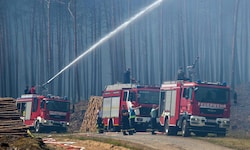 Die Feuerwehren in Deutschland sind seit Tagen mit mehreren Waldbränden beschäftigt.
