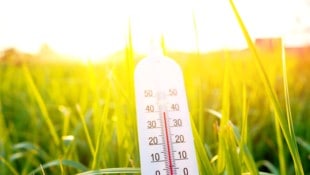 Erbarmungslos scheint die Sonne über Österreich – die Hitzerekorde fallen wie Dominosteine.