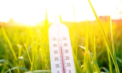 Erbarmungslos scheint die Sonne über Österreich – die Hitzerekorde fallen wie Dominosteine.
