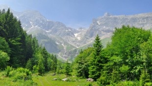 Die felsigen Gipfel des Rätikons bilden einen schönen Kontrast zu den Farben des Sommers.