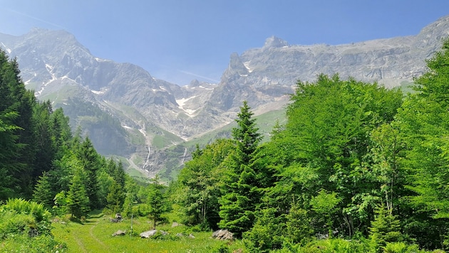 Die felsigen Gipfel des Rätikons bilden einen schönen Kontrast zu den Farben des Sommers.