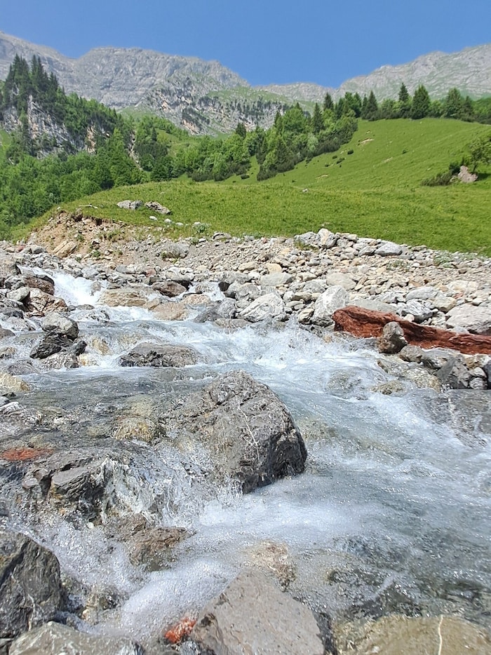 Das Rauschen des Alvierbaches ist ein ständiger Begleiter auf dem Weg zur Schattenlagant-Hütte. ...