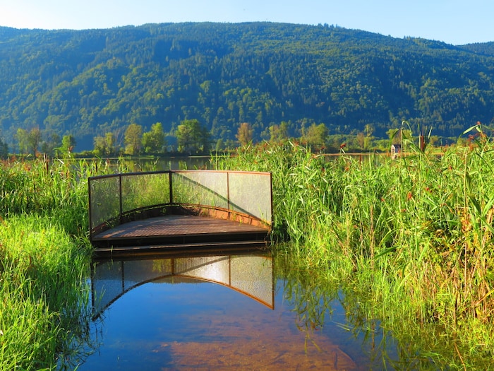 Das Bleistätter Moor hat einen positiven Effekt.