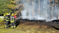 Aktuell kommt es im ganzen Bundesland immer wieder zu gefährlichen Wald- und Feldbränden.