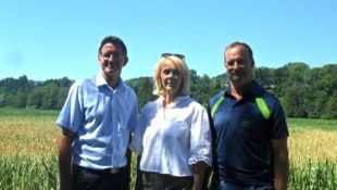 Grün- und Anbauflächen sind enorm betroffen.