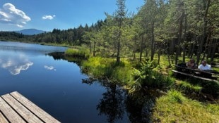 Der Egelsee ist ein beliebtes Ausflugsziel, aber genau darunter leidet das Gebiet. 