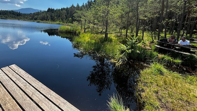 Der Egelsee ist ein beliebtes Ausflugsziel, aber genau darunter leidet das Gebiet.