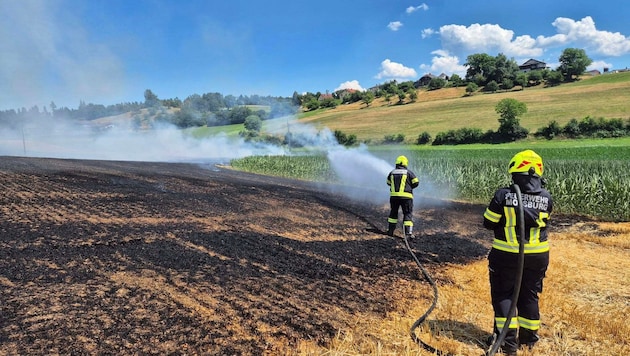 Die Feuerwehr Moosburg stand mit zahlreichen Kameraden im Einsatz beim Brand eines Ackers.