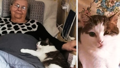 Martha Wohlmuth beim Kuscheln mit „Mucki“. Seine Alleinstellungsmerkmale sind u.a. der schiefe ...