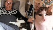 Martha Wohlmuth beim Kuscheln mit „Mucki“. Seine Alleinstellungsmerkmale sind u.a. der schiefe ...