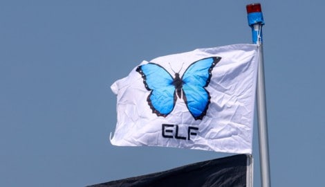 Der Schmetterling ist Symbol einer Festival-Gruppe aus Deutschland. Durch die Fahne wollen sie ...