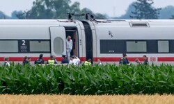 Der Vorfall ereignete sich in einem ICE-Zug, der Verdächtige ist im Großraum Wien gemeldet.