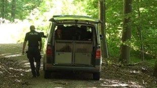 Im deutschen Niedersachsen soll eine junge Frau eine Jugendliche getötet haben. Die Leiche der ...