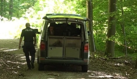 Im deutschen Niedersachsen soll eine junge Frau eine Jugendliche getötet haben. Die Leiche der ...