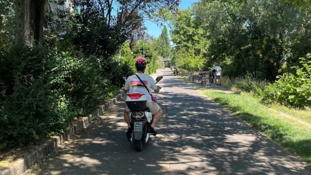 Auch am Radweg am Donaukanal sind immer viele E-Mopeds unterwegs.