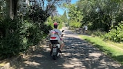 Auch am Radweg am Donaukanal sind immer viele E-Mopeds unterwegs.